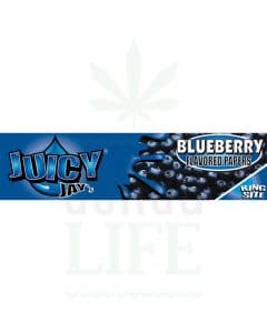 Blueberry | Box of 24