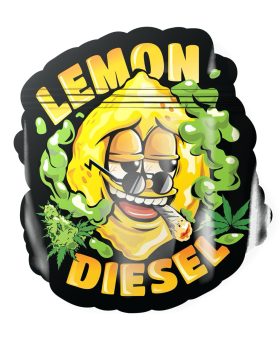 Aufbewahrung Baggy ‘Lemon Diesel’ 10er | 120×90